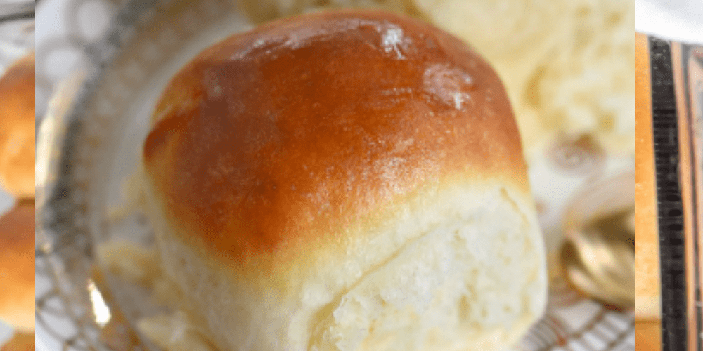 Dinner Rolls